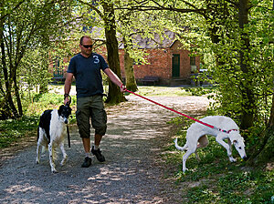 Klicka på bilden för större version

Namn: hecw.jpg
Visningar: 112
Storlek: 596,6 KB
ID: 2341246
