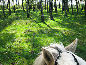 Klicka på bilden för större version

Namn: lancemaj2.jpg
Visningar: 92
Storlek: 354,4 KB
ID: 2341287