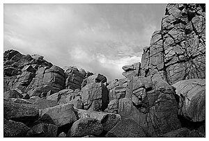 Klicka på bilden för större version

Namn: hovz8.jpg
Visningar: 106
Storlek: 217,3 KB
ID: 2341327