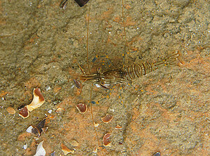 Klicka på bilden för större version

Namn: hovz3.jpg
Visningar: 115
Storlek: 455,6 KB
ID: 2341329