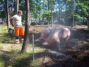 Klicka på bilden för större version

Namn: 032.JPG
Visningar: 165
Storlek: 403,7 KB
ID: 2341480