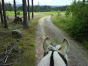 Klicka på bilden för större version

Namn: lancejuli2.jpg
Visningar: 131
Storlek: 312,8 KB
ID: 2341509
