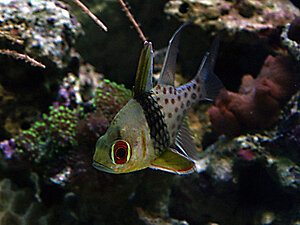 Klicka på bilden för större version

Namn: 090823-pyamas3.jpg
Visningar: 117
Storlek: 146,4 KB
ID: 2341607
