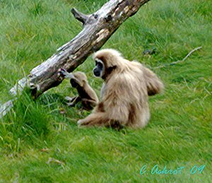 Klicka på bilden för större version

Namn: zoojane.jpg
Visningar: 134
Storlek: 87,7 KB
ID: 2341643