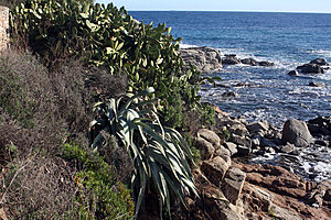 Klicka på bilden för större version

Namn: 4.jpg
Visningar: 156
Storlek: 290,5 KB
ID: 2341793