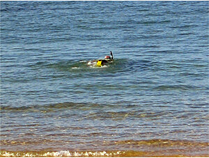 Klicka på bilden för större version

Namn: snorklare.jpg
Visningar: 163
Storlek: 154,1 KB
ID: 2341965