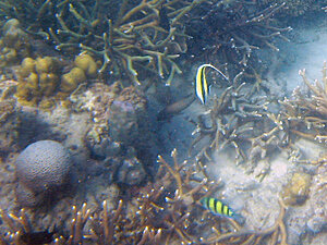 Klicka på bilden för större version

Namn: morish-2.jpg
Visningar: 128
Storlek: 158,1 KB
ID: 2342008