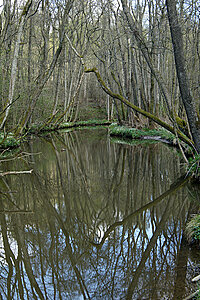 Klicka på bilden för större version

Namn: möllegård4z.jpg
Visningar: 84
Storlek: 563,1 KB
ID: 2342117