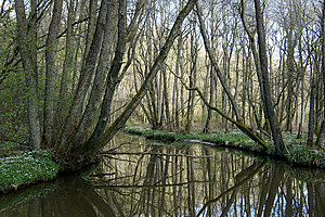 Klicka på bilden för större version

Namn: möllegård8z.jpg
Visningar: 81
Storlek: 758,2 KB
ID: 2342118