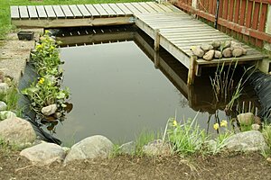 Klicka på bilden för större version

Namn: 15 Steg tv&#9500;Ñ slutf&#9500;Ârt liten.JPG
Visningar: 90
Storlek: 60,8 KB
ID: 2342177