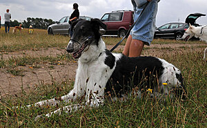 Klicka på bilden för större version

Namn: På-LC.jpg
Visningar: 81
Storlek: 125,1 KB
ID: 2342249