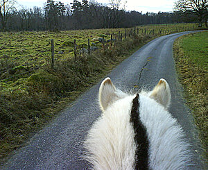 Klicka på bilden för större version

Namn: lance179.jpg
Visningar: 108
Storlek: 246,4 KB
ID: 2342256
