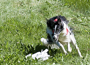 Klicka på bilden för större version

Namn: L8.jpg
Visningar: 80
Storlek: 669,8 KB
ID: 2343509