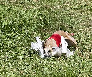 Klicka på bilden för större version

Namn: Lurecou8.jpg
Visningar: 83
Storlek: 891,8 KB
ID: 2343510