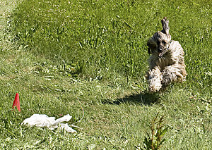 Klicka på bilden för större version

Namn: Lu8.jpg
Visningar: 69
Storlek: 806,9 KB
ID: 2343511