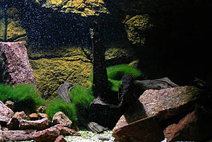 Klicka på bilden för större version

Namn: Efter_DSC_5828.jpg
Visningar: 223
Storlek: 57,9 KB
ID: 2343562