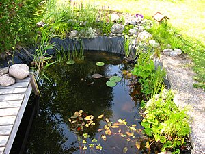 Klicka på bilden för större version

Namn: Dammblommor Juli 008 s.jpg
Visningar: 87
Storlek: 248,4 KB
ID: 2343680