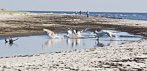 Klicka på bilden för större version

Namn: Sand-11liten.jpg
Visningar: 85
Storlek: 294,1 KB
ID: 2344376