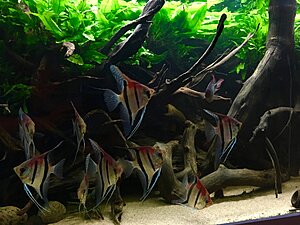 IMG_1515.jpg