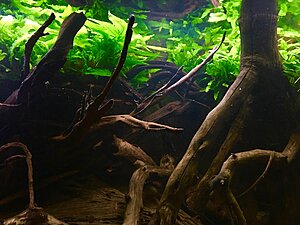 IMG_1130.jpg