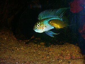 image_14721.jpg