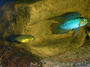image_14722.jpg