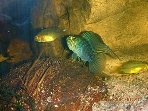 image_14724.jpg
