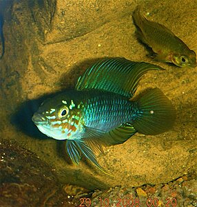 image_14725.jpg