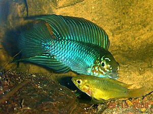 image_14726.jpg