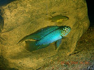 image_14727.jpg