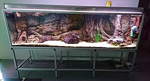 IMG_0498.JPG
