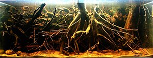 IMG_0798.jpg