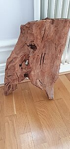 20200724_131456.jpg