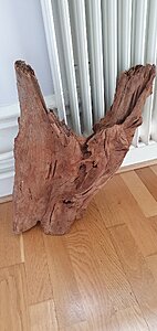 20200724_131513.jpg