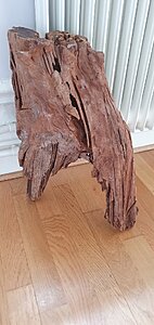 20200724_131527.jpg