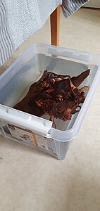 20200731_155601.jpg