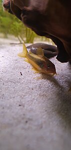 20200817_204640.jpg