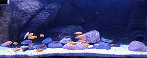 Click image for larger version

Name:	IMG_0123.JPG
Views:	187
Size:	314.3 KB
ID:	2422797