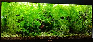 IMG_20211205_184127.jpg