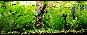 IMG_20211219_142052.jpg