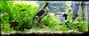 IMG_20220109_202234.jpg