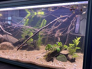 EE011741-A581-44D5-A646-DB8ED8DD14F9.jpg