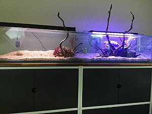 Testar olika belysning - led och T8
