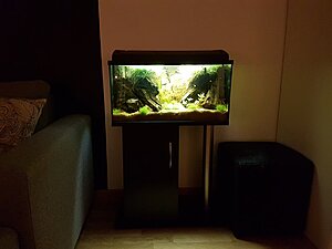 Ny placering, ny bänk och framför allt en liten pall att använda vid närmare studier.