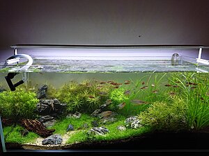 Framifrån