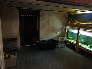 Loken innan jag flytta in