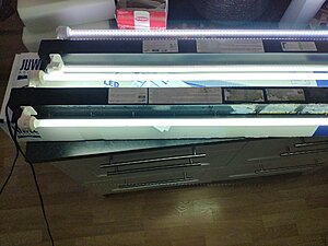 T5 vs LED