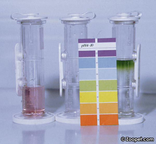 När man startar ett akvarium behövs följande tester: pH, KH och NO2(Nitrit).