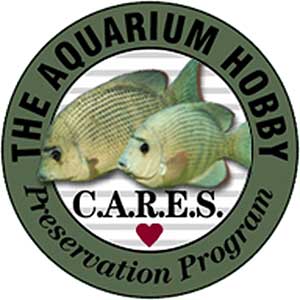 CARES logo