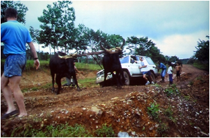 /bilder/data/697/medium/004_Heijns_Nicaragua_0127.jpg